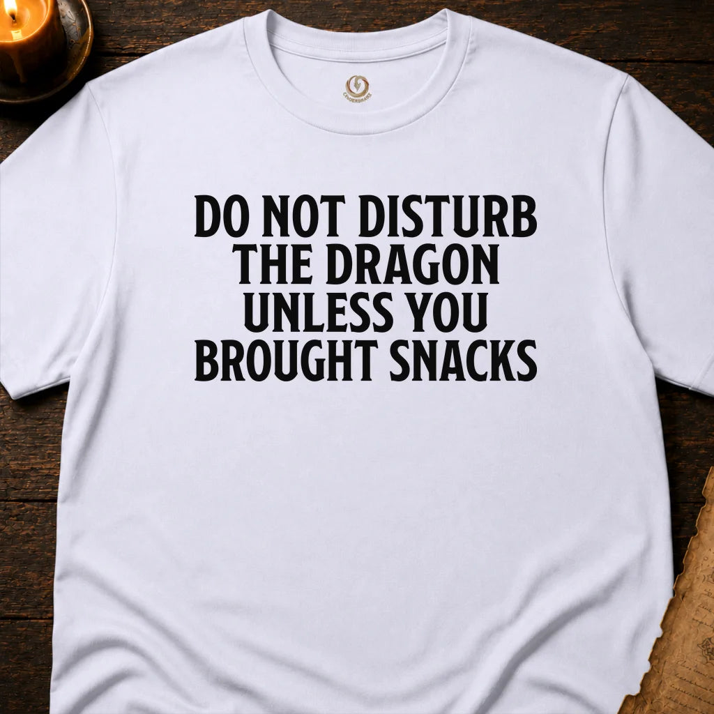 DO NOT DISTURB THE DRAGON UNLESS YOU BROUGHT SNACKS T-SHIRT