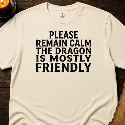 THE DRAGON IS MOSTLY FRIENDLY T-SHIRT