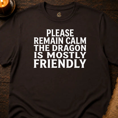 THE DRAGON IS MOSTLY FRIENDLY T-SHIRT