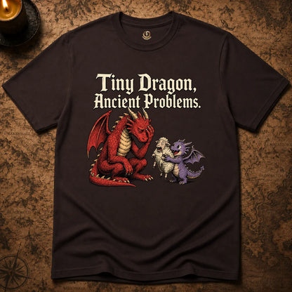 TINY DRAGON, ANCIENT PROBLEMS T-SHIRT