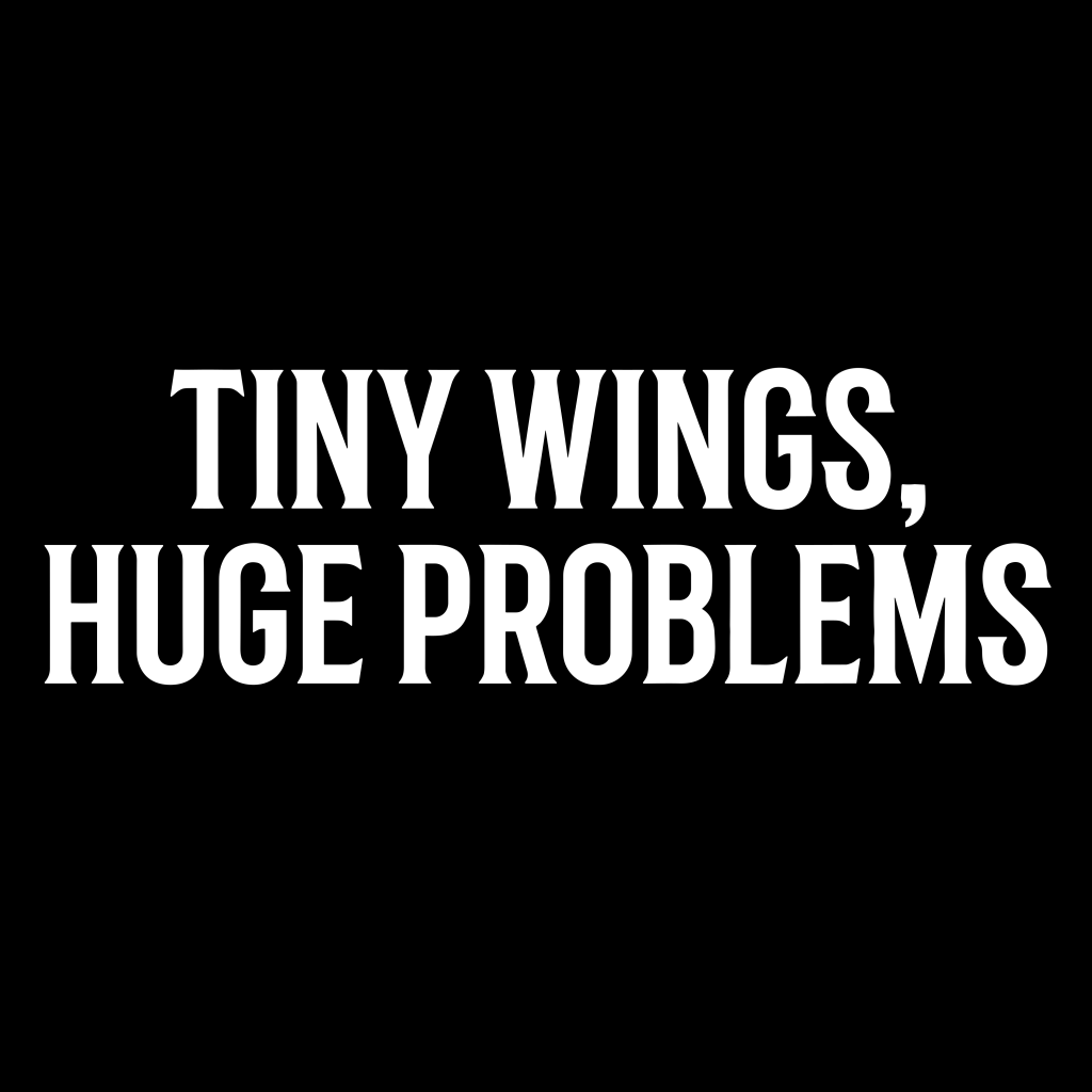TINY WINGS, HUGE PROBLEMS T-SHIRT