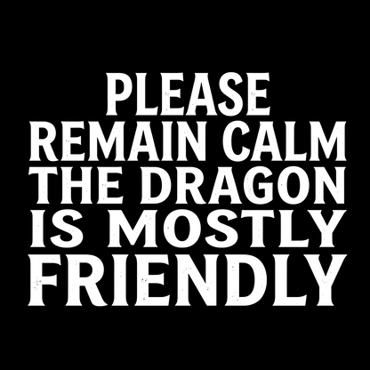 THE DRAGON IS MOSTLY FRIENDLY T-SHIRT