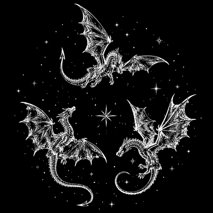 STARLFIGHT DRAKES T-SHIRT